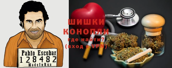 гидра Алексеевка