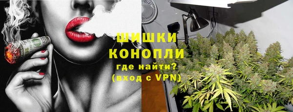 гидра Алексеевка