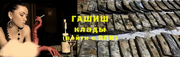 гидра Алексеевка