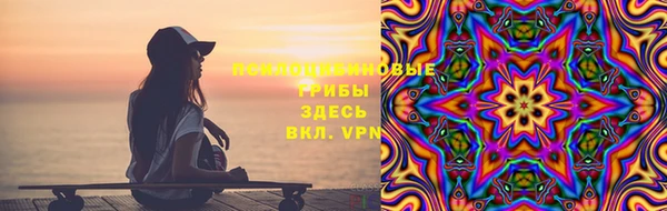 твердый Алексин